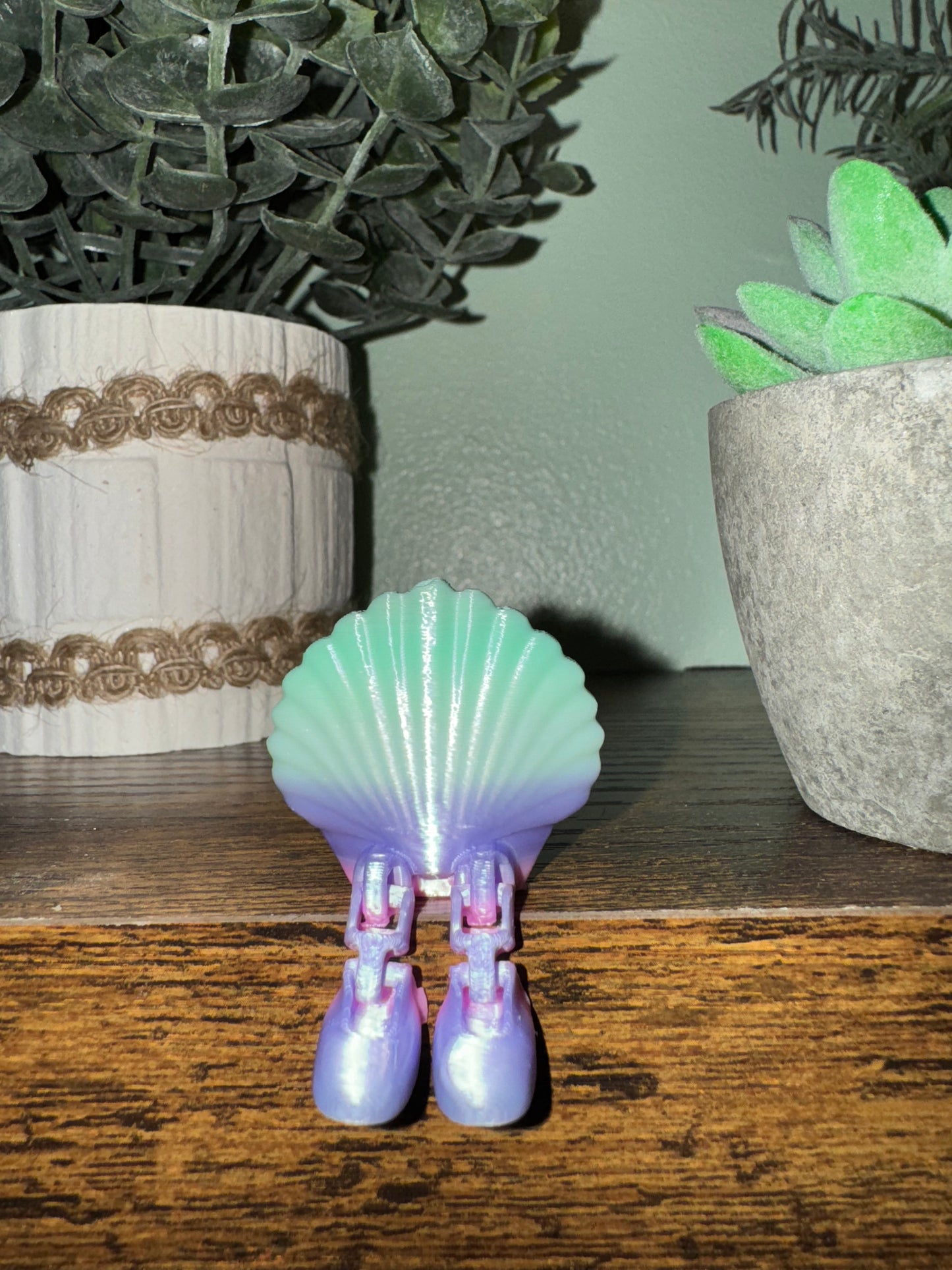 Shell 🐚 crazy leg