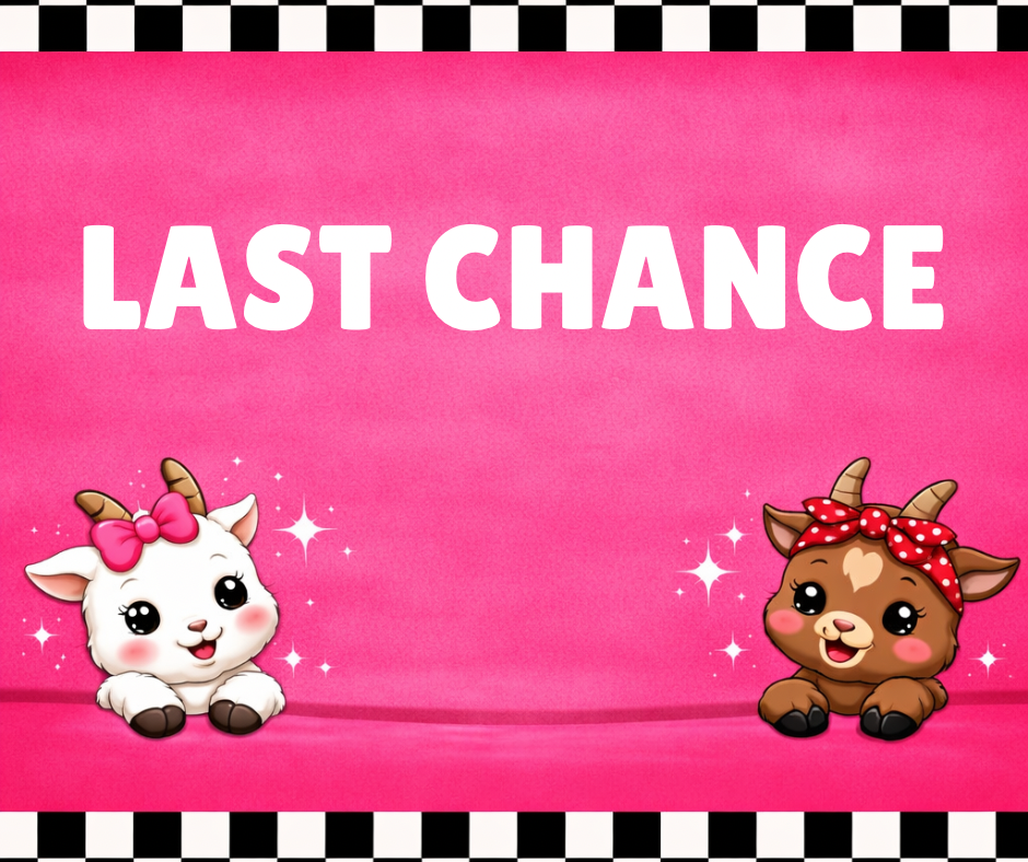 Clearance - 40% off